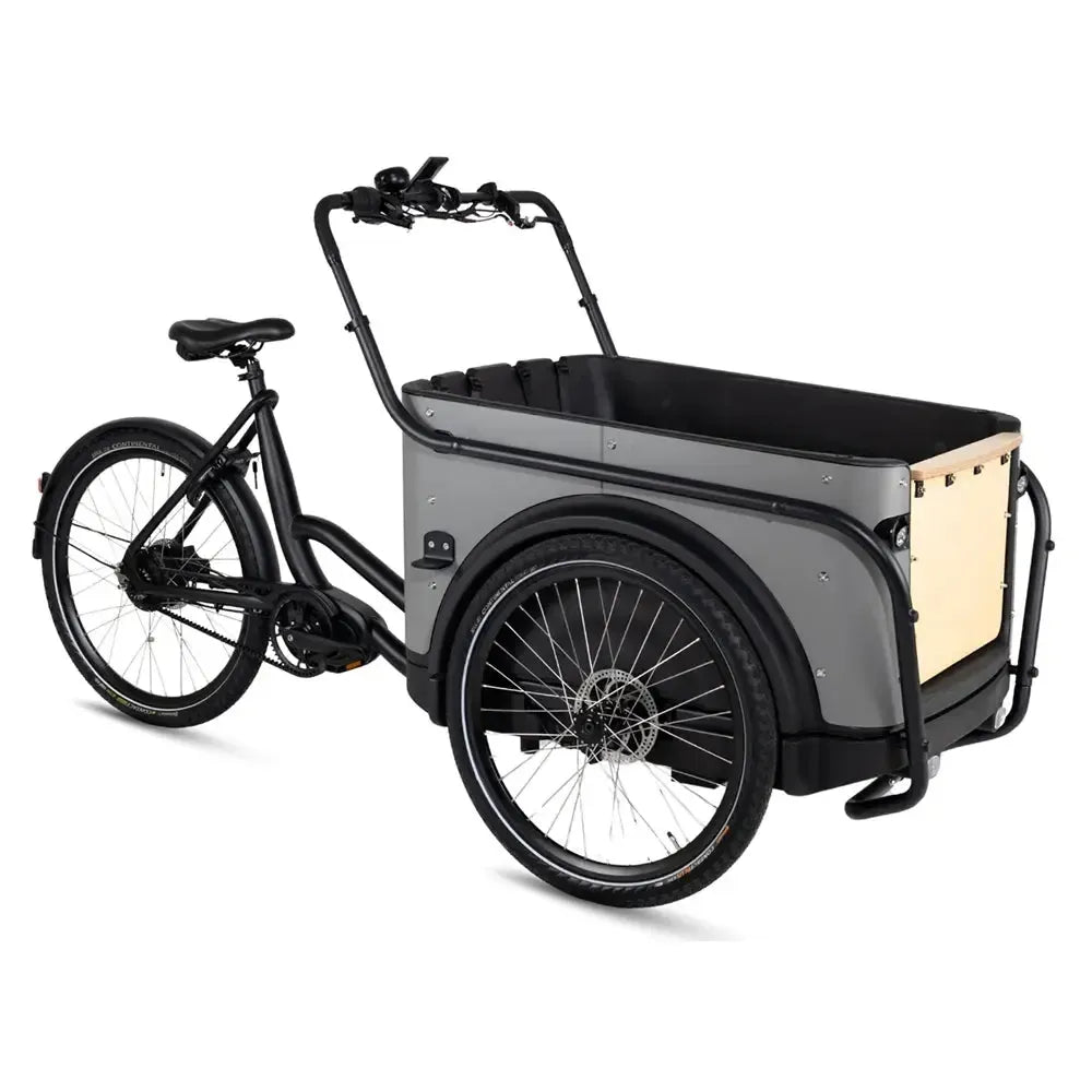 Bicicletă cargo Royal 3W Premium Plus - Gri taupe