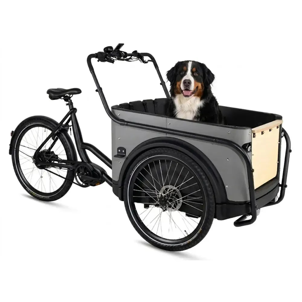 Bicicletă cargo Royal 3W Premium Plus - Gri taupe