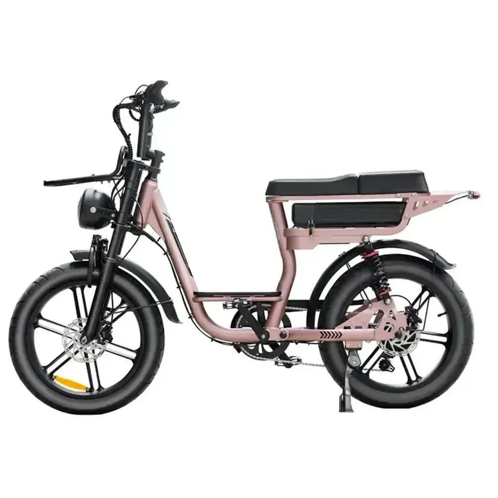 V20 Comfort - Aur roz