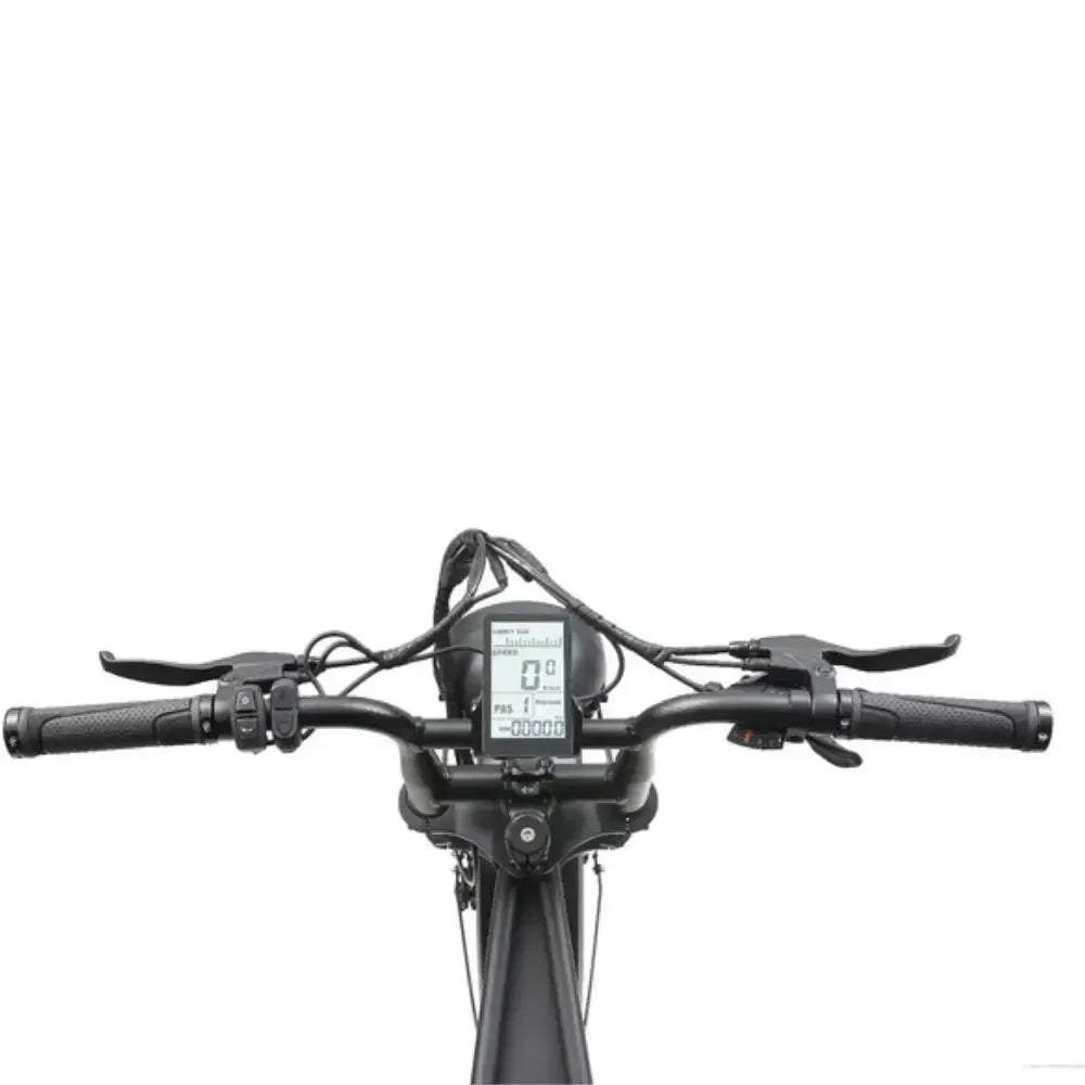 ApeRyder A10 Pro - Negru