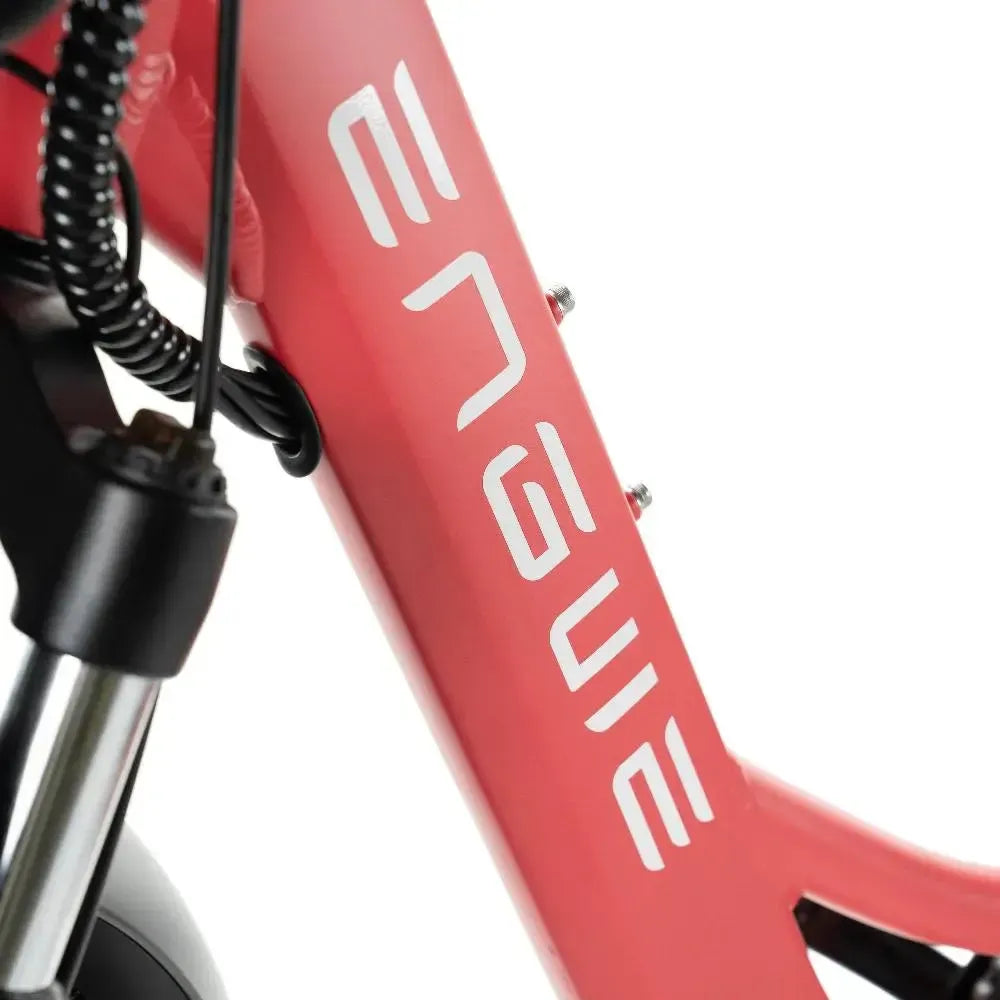 ENGWE L20 - Roz