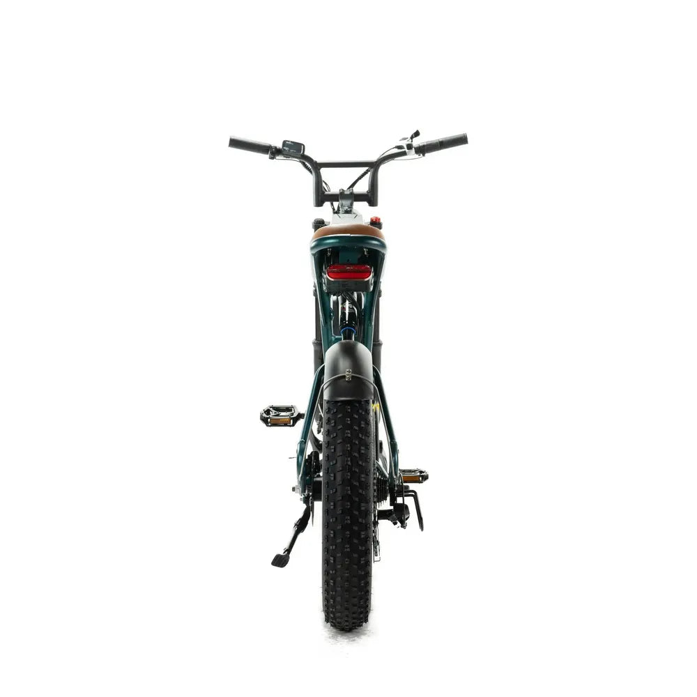 ENGWE M20 - Dublă Baterie - Verde
