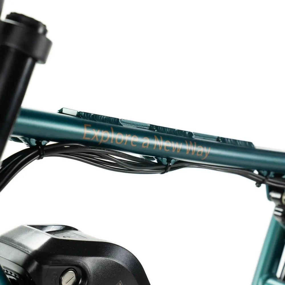 ENGWE M20 - Verde