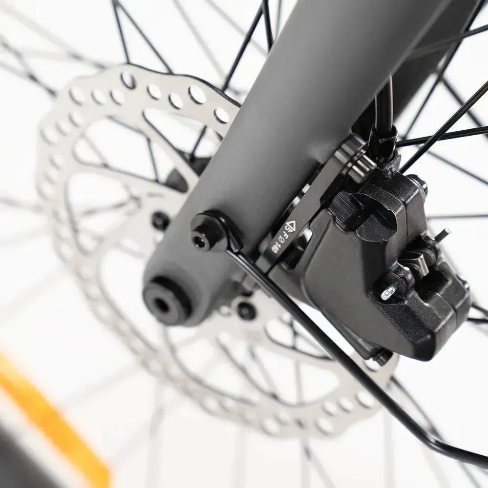 ENGWE Mapfour N1 Pro - Gri