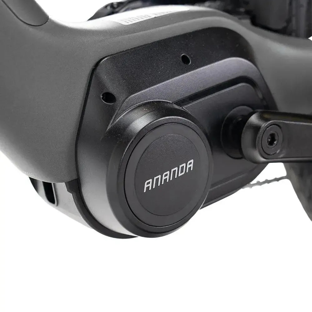 ENGWE Mapfour N1 Pro - Gri