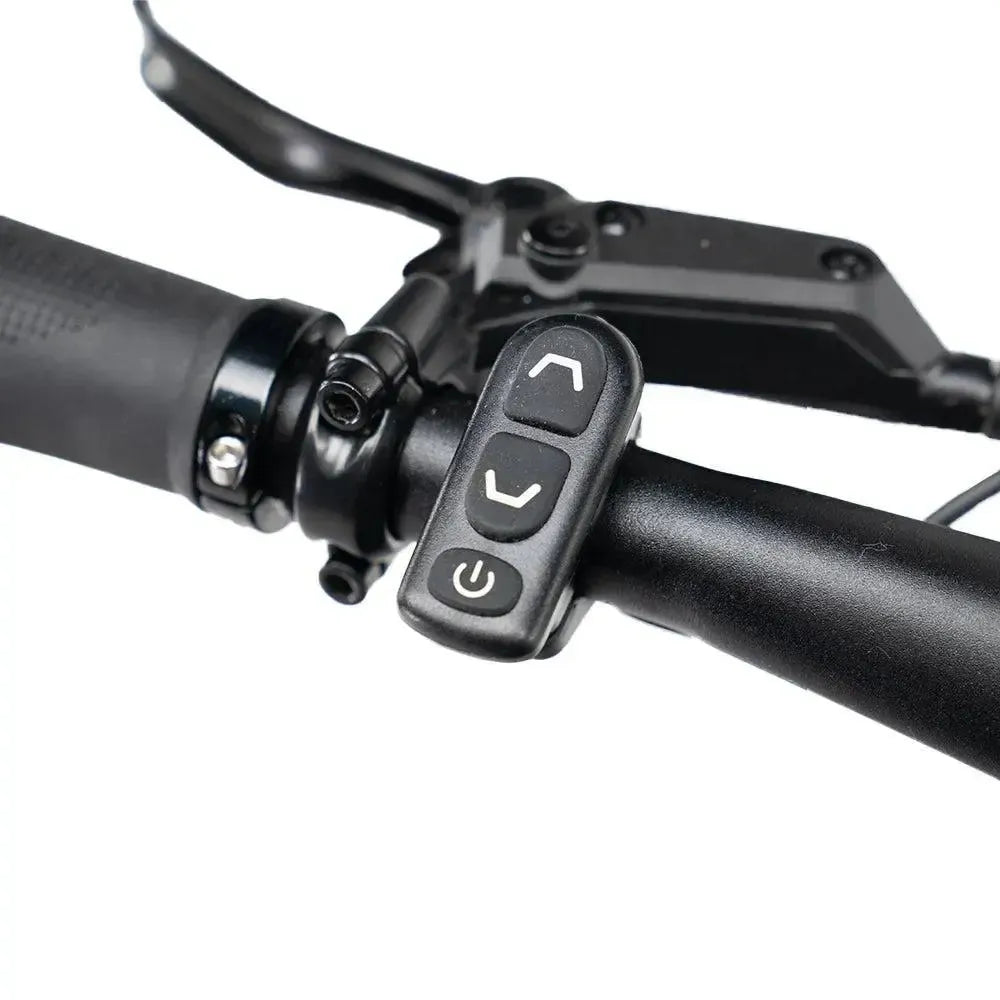 ENGWE Mapfour N1 Pro - Gri