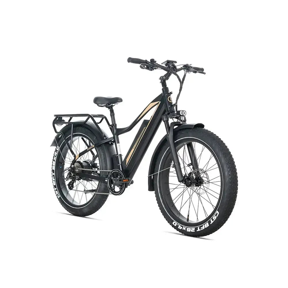 JOBOBIKE Robin Pro - Negru-auriu