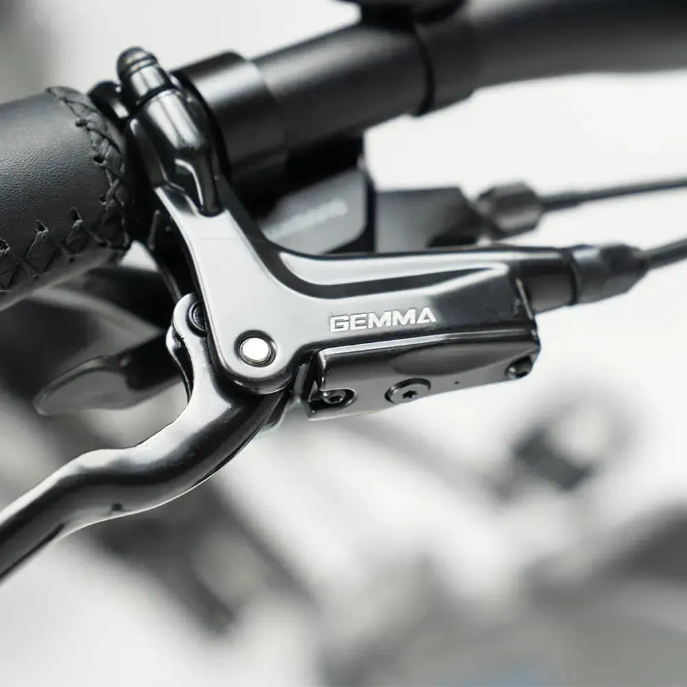JOBOBIKE Romer Pro - Gri