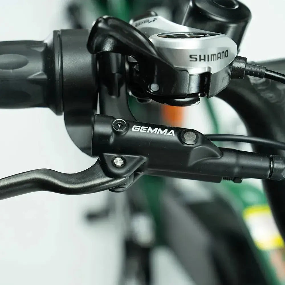 JOBOBIKE Transer - Longtail - Verde