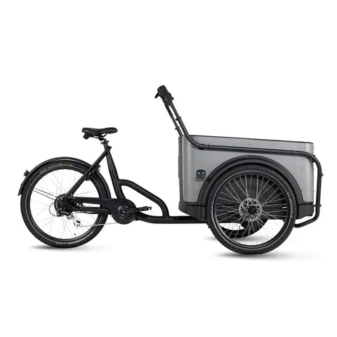 Bicicletă Cargo Royal 3W Eco - Gri
