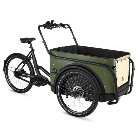 Bicicletă Cargo Royal 3W Premium - Verde