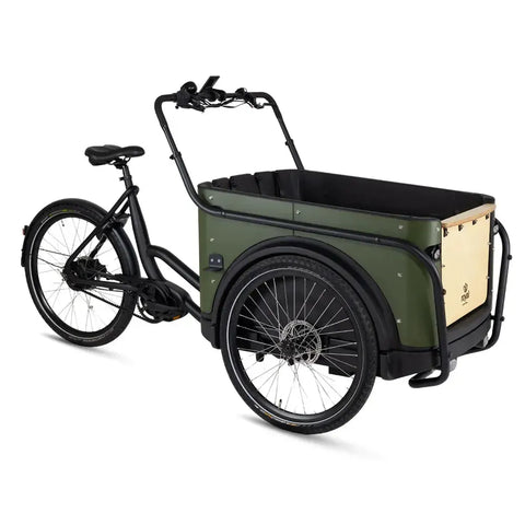 Royal Cargo Bike 3W Premium Plus - Verde
