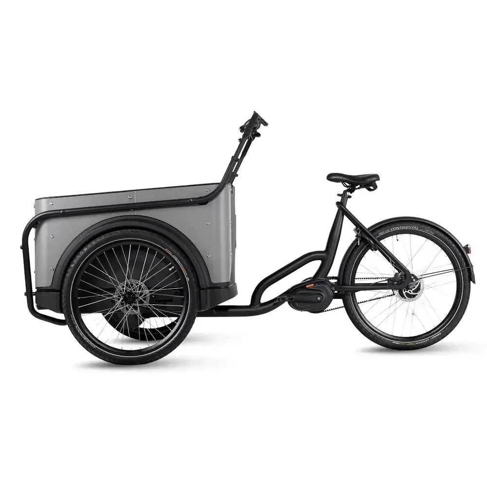 Bicicletă cargo Royal 3W Premium Plus - Gri taupe