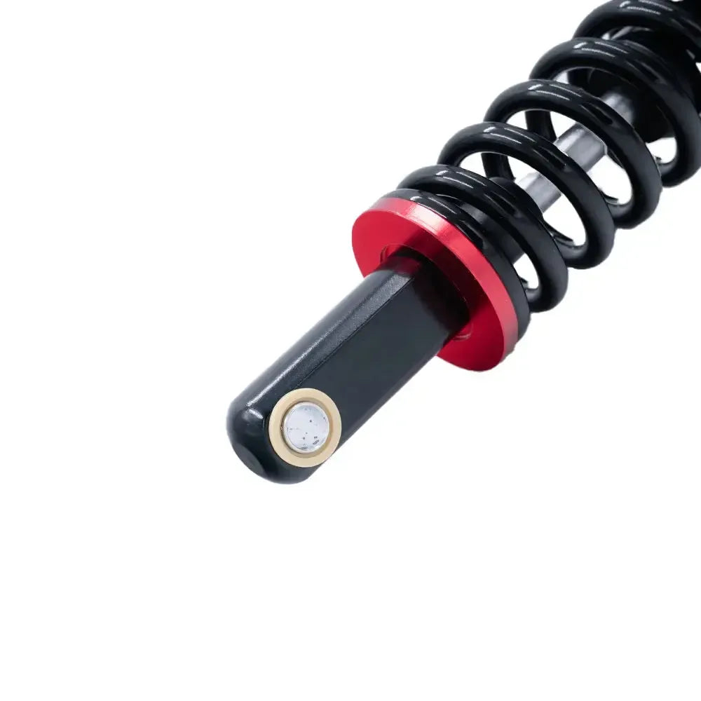 S20 - Suspensie