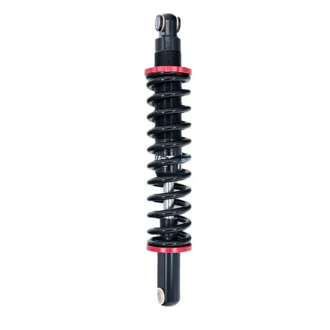 S20 - Suspensie